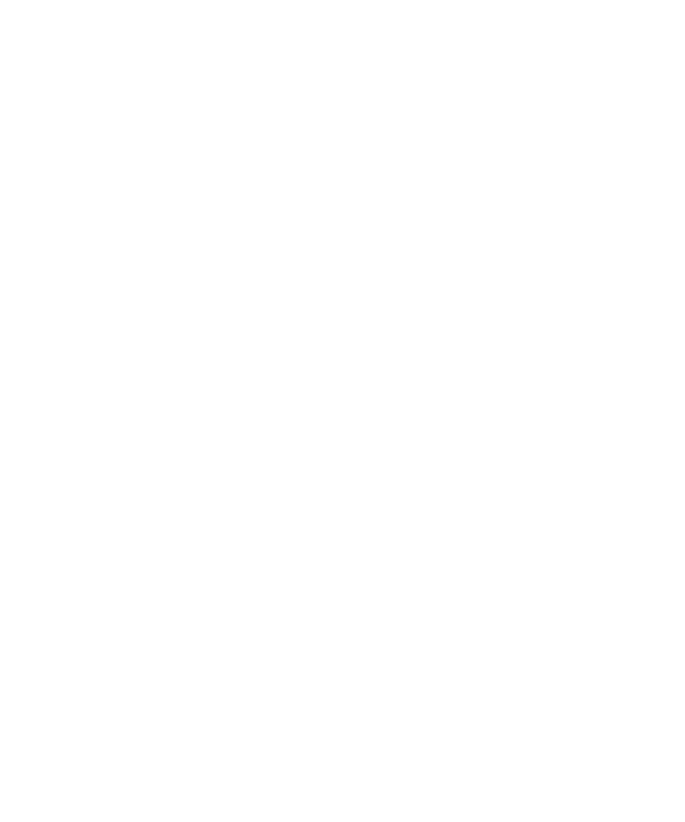 Majestix